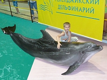 Лето Дмитрия Сусанова. Дима с дельфином.